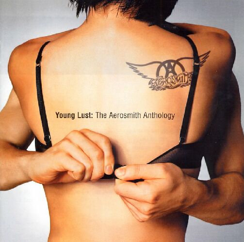 Aerosmith_-_Anthology_Young_Lust-front.jpg